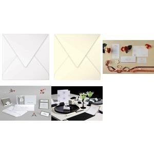 20 omslagen Pollen 165x165 Gems 120gr